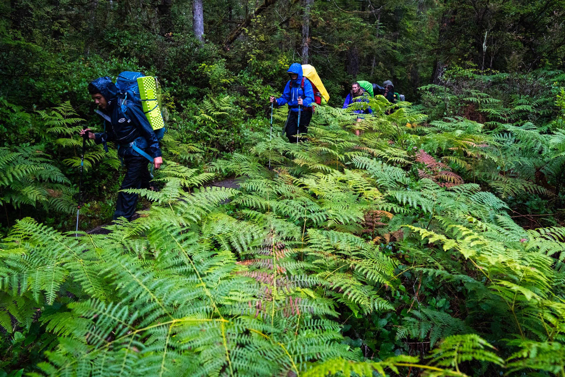 Olympic National Park :: Backpacking Outdoor Education, photograph by Craig Wolfrom