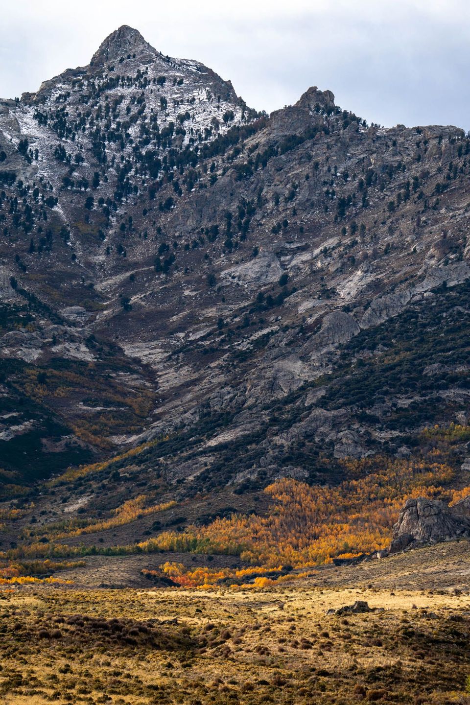 Fall in the Ruby Mountains. Nevada is full of color in the fall.