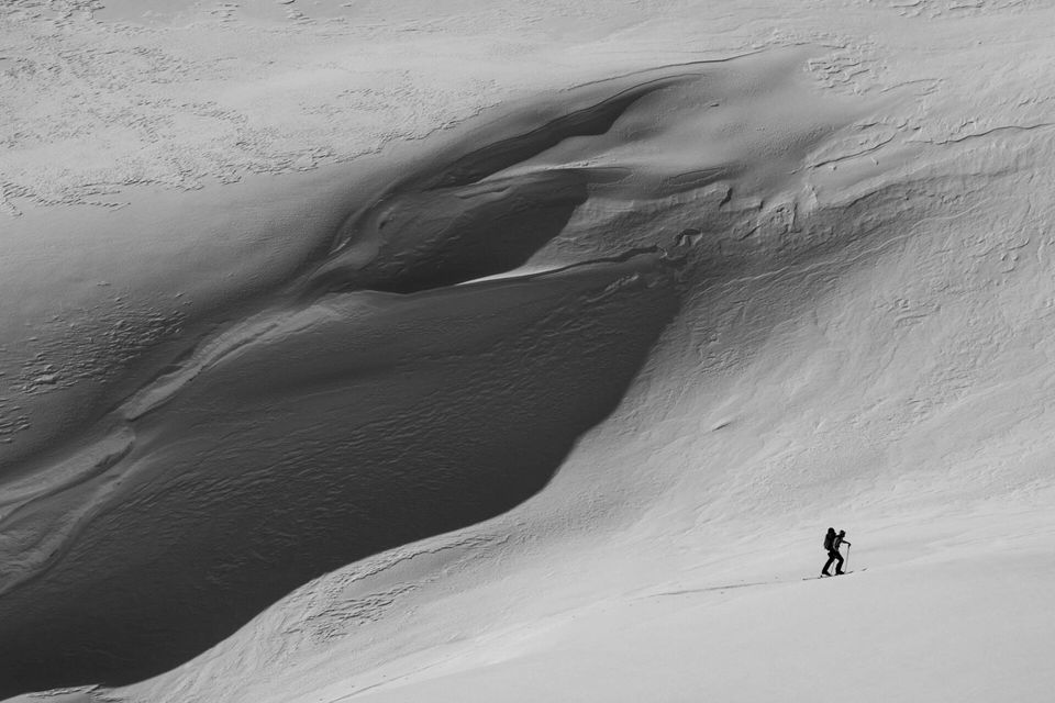Kenai Fjords National Park :: Sea to Ski, photograph by Craig Wolfrom