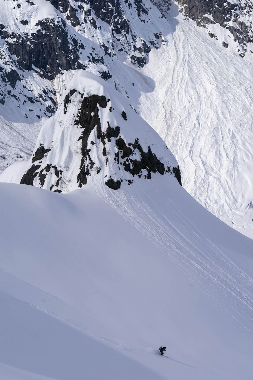 Kenai Fjords National Park :: Sea to Ski, photograph by Craig Wolfrom