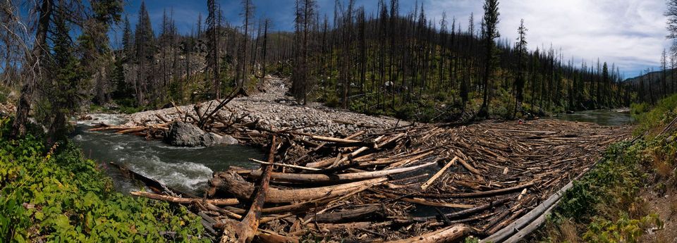 River Running the Middle Fork Salmon Blowouts, photograph by Craig Wolfrom