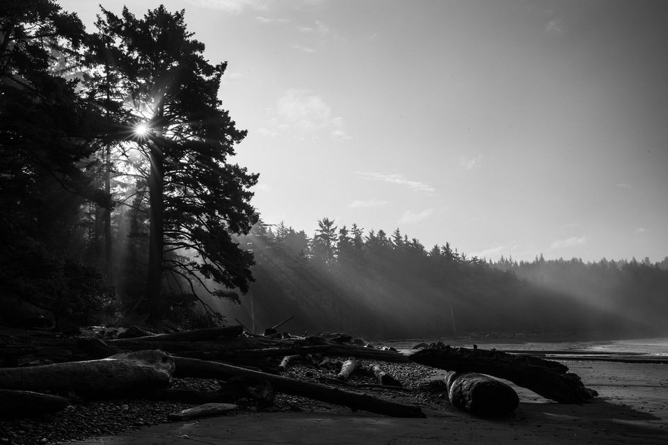 Olympic National Park :: Backpacking Outdoor Education, photograph by Craig Wolfrom