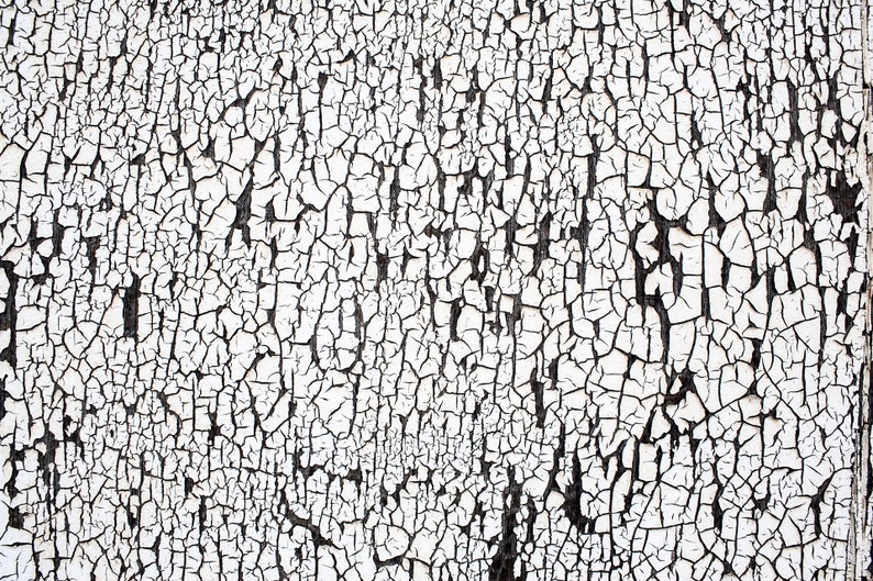 Peeling Paint Detail. Peeling white paint. Black and white.