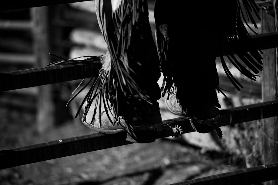Roundup No. 5, photograph by Craig Wolfrom